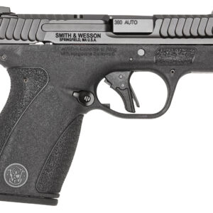 SMITH & WESSON BODYGUARD 2.0, 380ACP, NTS