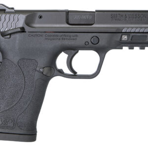 SMITH & WESSON M&P M2.0 SHIELD EZ, MICRO-COMPACT FRAME, 380 ACP, 8+1RD, 3.67" BARREL